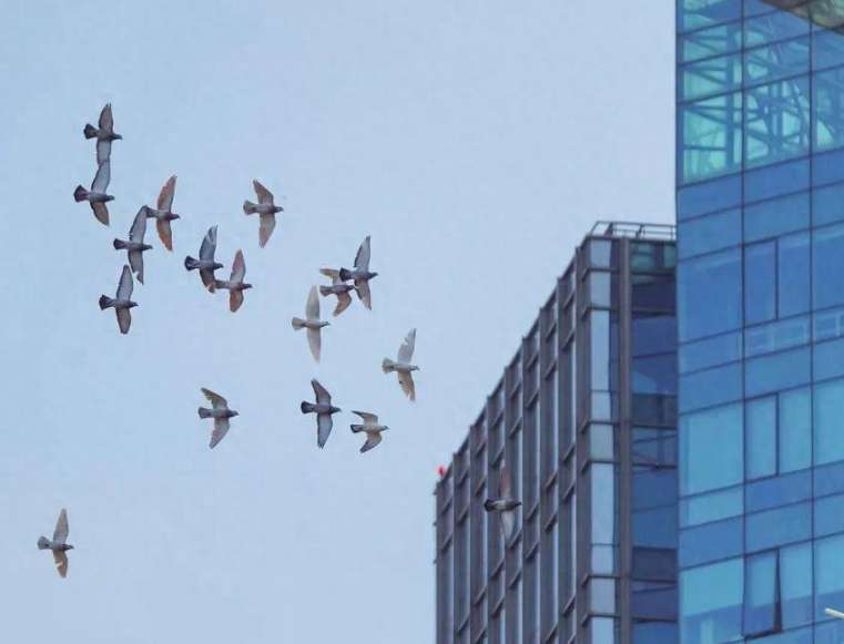 Digital Economy Fuels Global Recovery